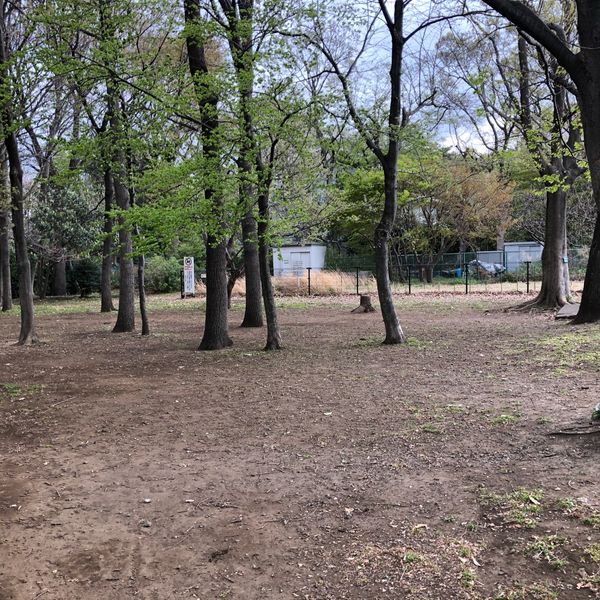 世田谷区立　みんなの森公園 - おすすめ画像