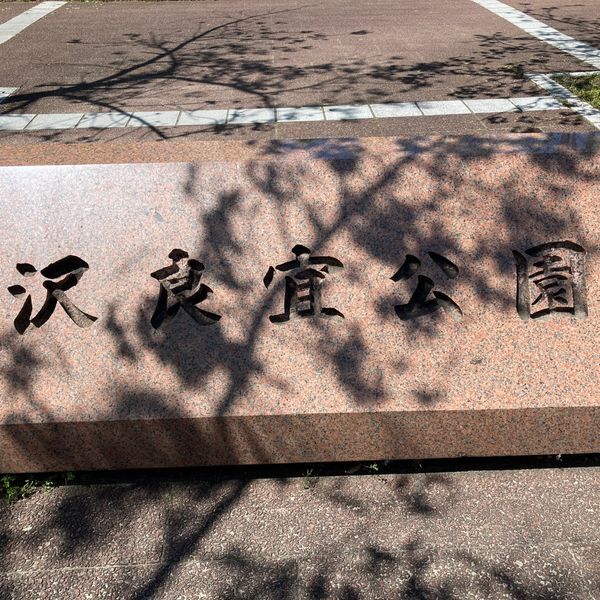 沢良宜公園 - トップ画像