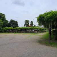 玉敷公園 - 投稿画像1