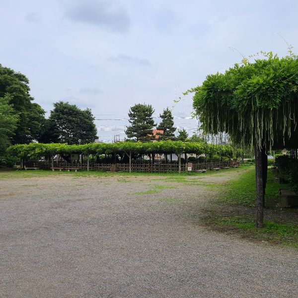 玉敷公園 - おすすめ画像