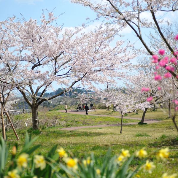 多聞山展望広場公園 - トップ画像