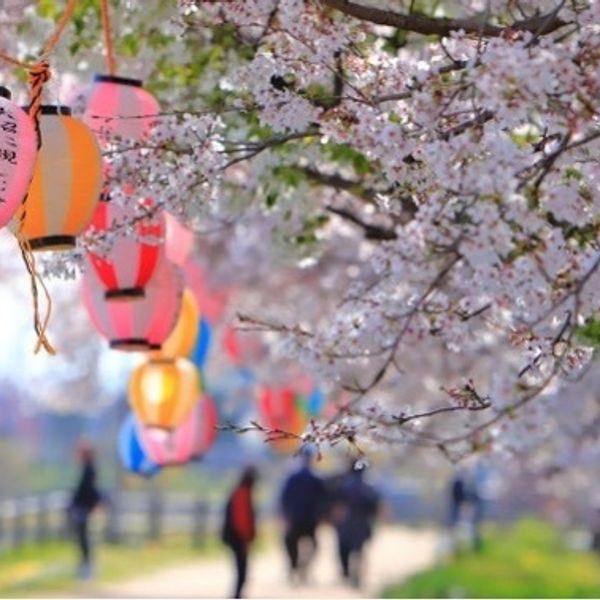 大沼親水公園 - おすすめ画像