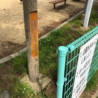 南陵第2児童公園 - 投稿画像1