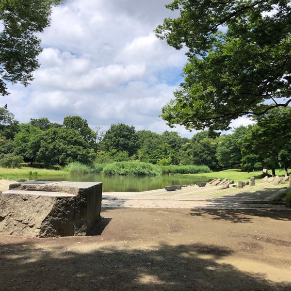 清瀬金山緑地公園 - おすすめ画像