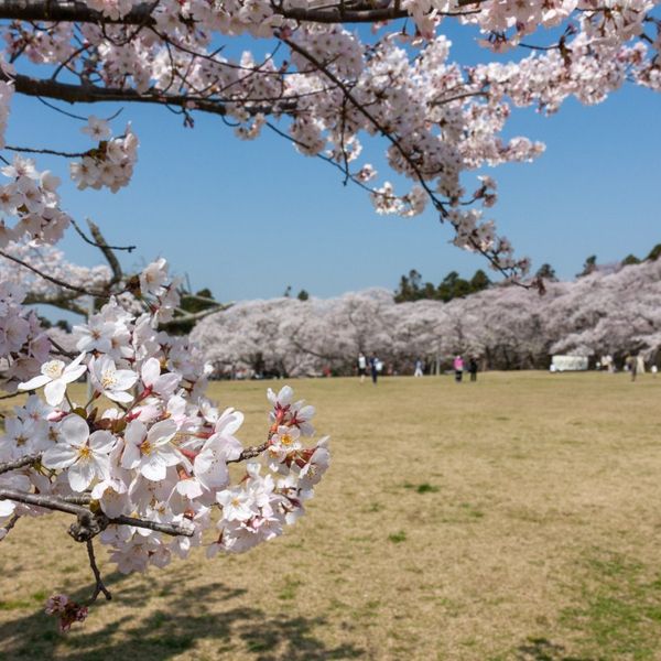 Mikamine Kōen - トップ画像