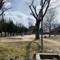六条院 - 投稿画像1
