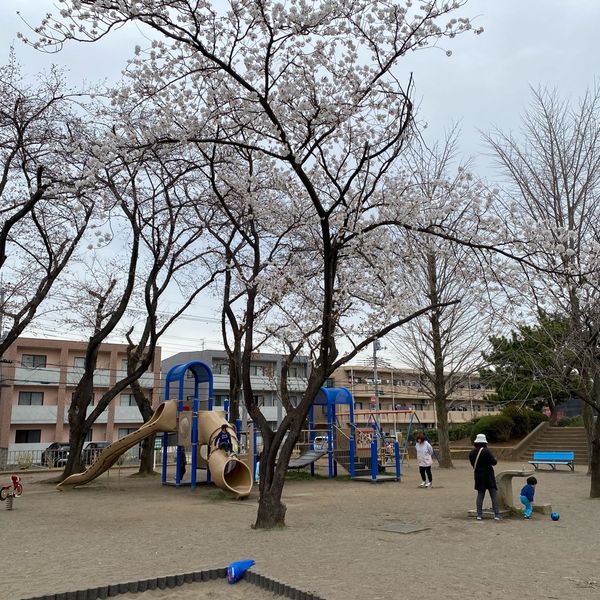芦山公園 - トップ画像