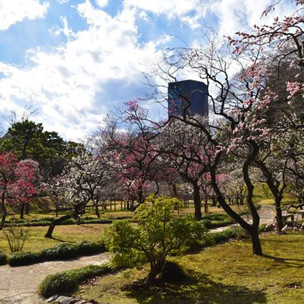 小石川後楽園 - おすすめ画像