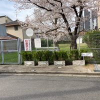 下三条町東街区公園 - 投稿画像2