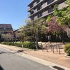 門戸岡田はなみずき公園 - トップ画像