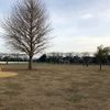 高井戸公園 芝生広場（北地区） - トップ画像