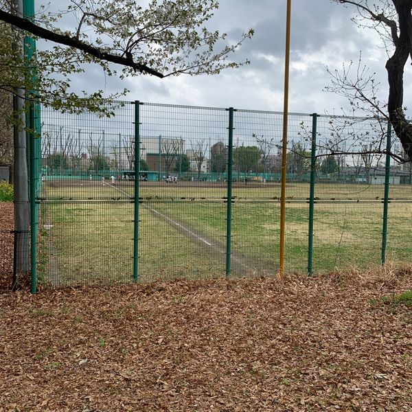 東大和南公園 野球場 - トップ画像