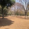 祖師谷公園　はらっぱ - トップ画像