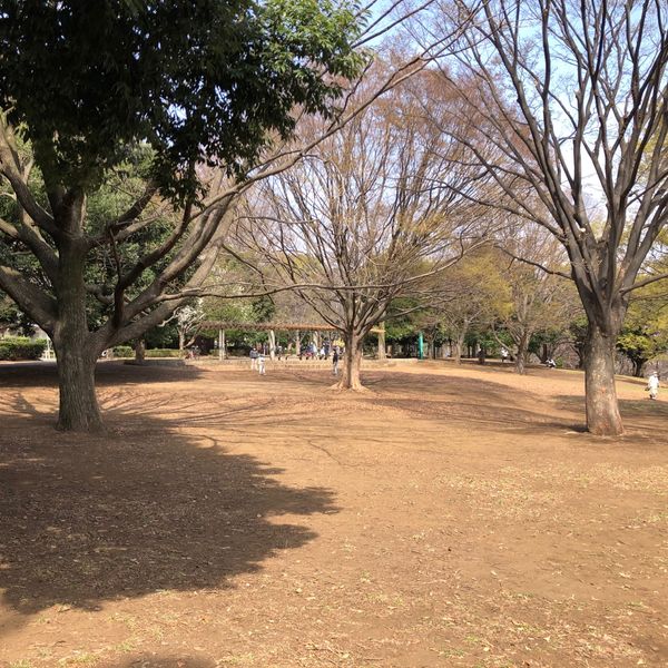 祖師谷公園　はらっぱ - おすすめ画像