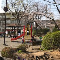 美しが丘第五公園 - 投稿画像1