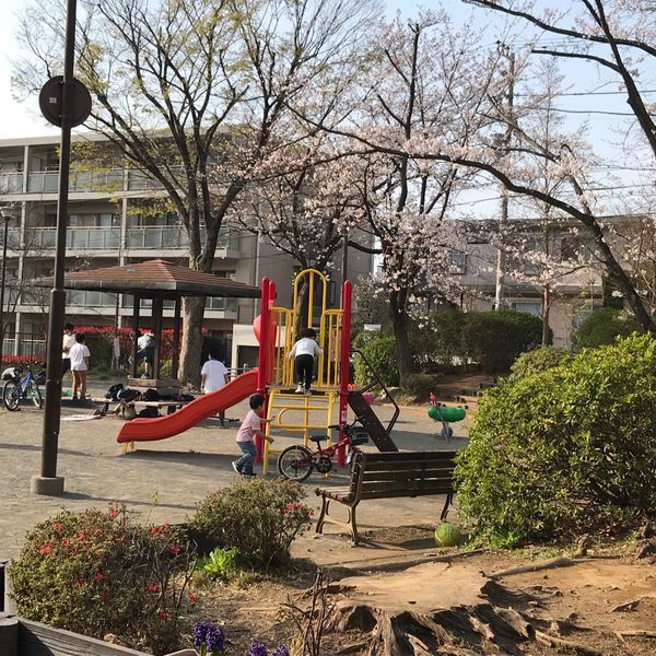 美しが丘第五公園 - おすすめ画像