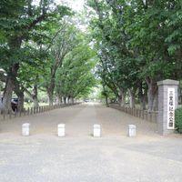 三里塚・御料牧場記念館 - 投稿画像2