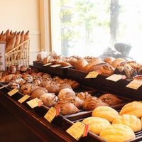 브레드 플랜트 오즈 (BREAD PLANT OZ) - 投稿画像1