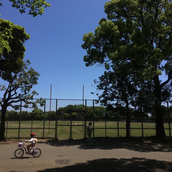 光が丘公園 野球場 - トップ画像