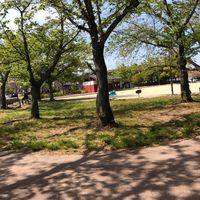 市民ふれあい広場 - 投稿画像2