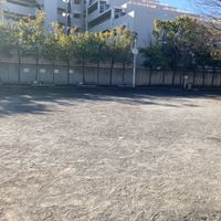 東高津公園 - 投稿画像0