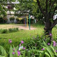 遊田第1児童公園 - 投稿画像3