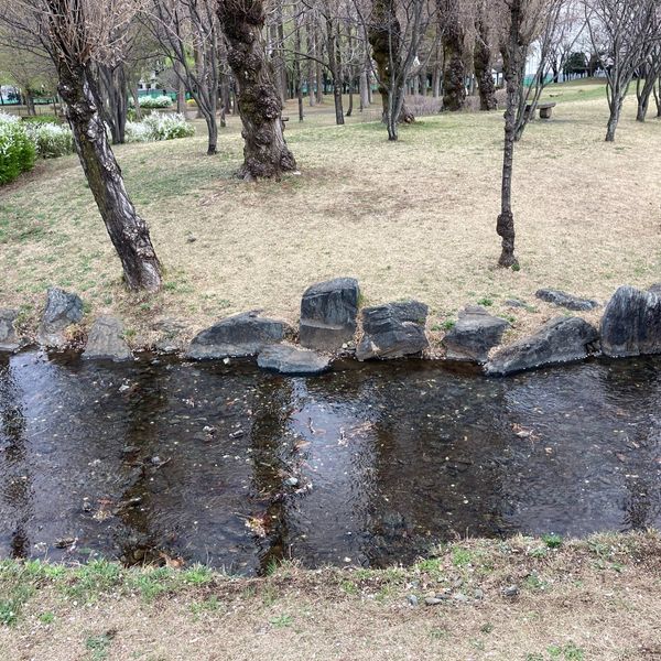 彩の森入間公園 - トップ画像