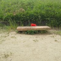 春日街区公園 - 投稿画像3