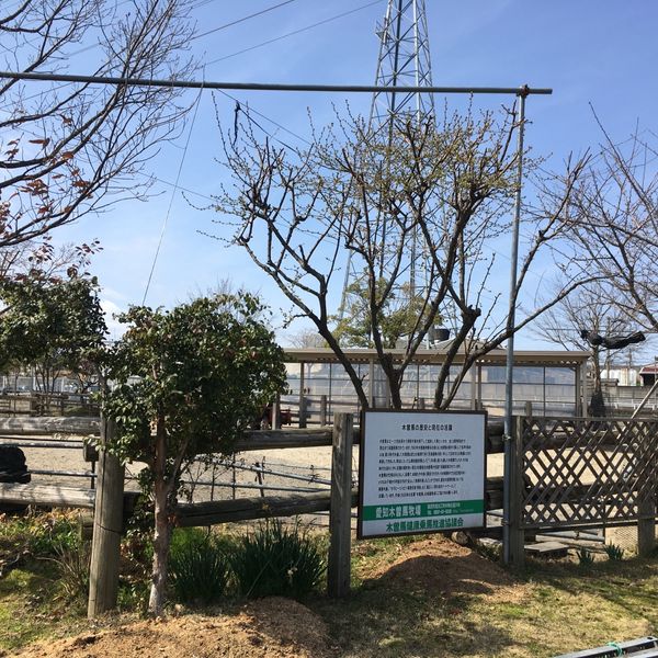 愛知木曽馬牧場(あいちきそうまぼくじょう) - トップ画像