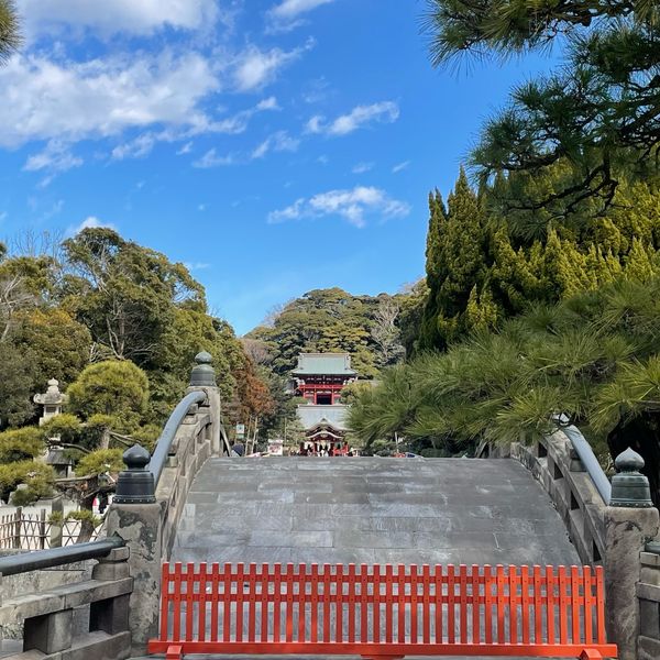 鶴岡八幡宮 - おすすめ画像