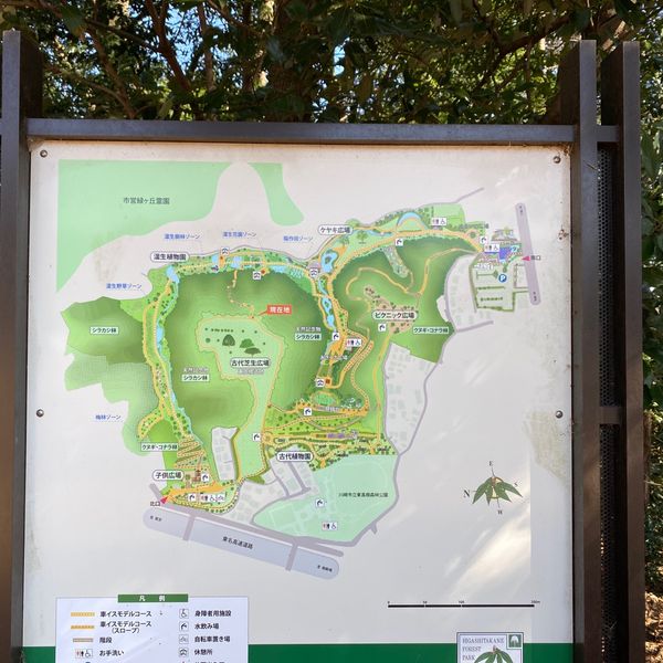 東高根森林公園 - トップ画像