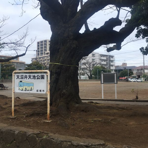 天沼弁天池公園 - トップ画像