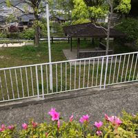 高岩東 - 投稿画像2