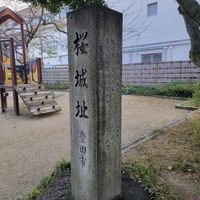 桜城址公園 - 投稿画像2