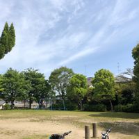 泉が丘南公園 - 投稿画像1