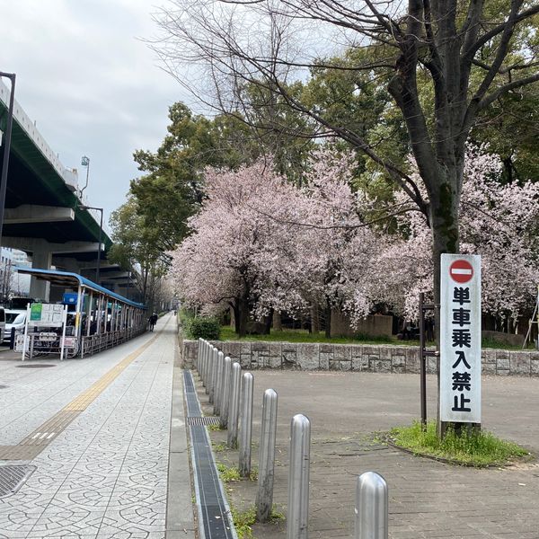 大阪城 パークセンター - おすすめ画像