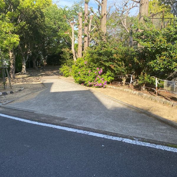 北ノ口緑地 - おすすめ画像