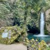 浄蓮の滝 - トップ画像