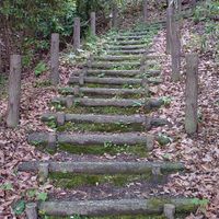 朱雀一丁目緑地 - 投稿画像0