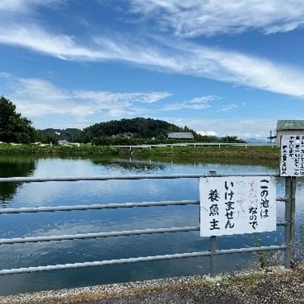 【新田・谷・土居１】土居下池 - おすすめ画像