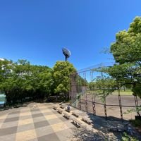 大井ふ頭中央海浜公園スポーツの森 - 投稿画像3