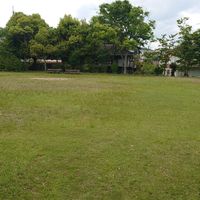 左京四丁目街区公園 - 投稿画像2