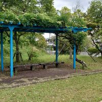 北登美ヶ丘4号街区公園 - 投稿画像2
