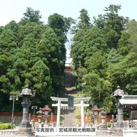 Shiwahiko Jinja / Shiogama Jinja - 投稿画像0