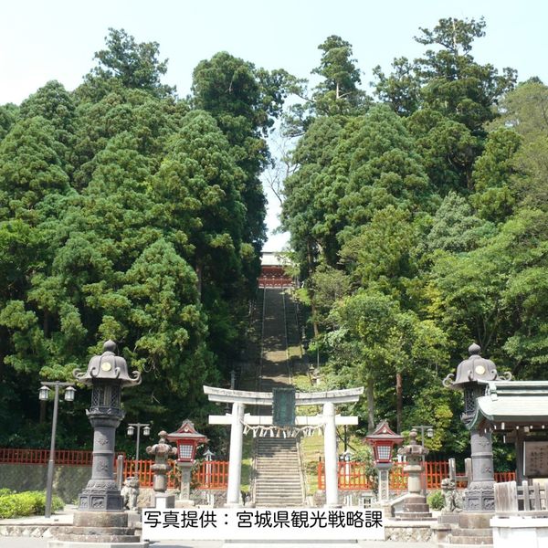 Shiwahiko Jinja / Shiogama Jinja - トップ画像