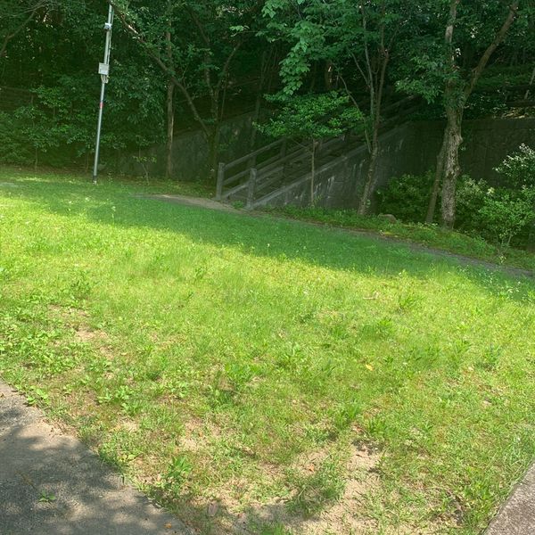 苦楽園くすのき公園 - トップ画像