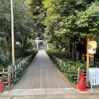 赤坂 氷川神社 - 投稿画像3