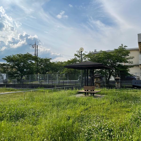 大成公園 - おすすめ画像
