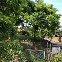 泉が丘西公園 - 投稿画像3