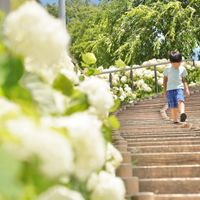 シンボルプロムナード公園 - 投稿画像3